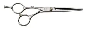 FS - Flat Screw