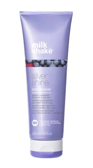 Silver Shine Conditioner