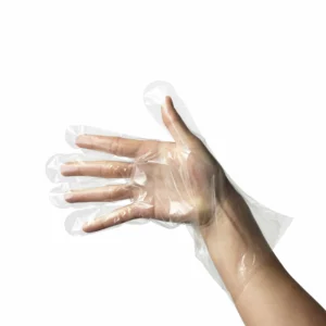Disposable Gloves
