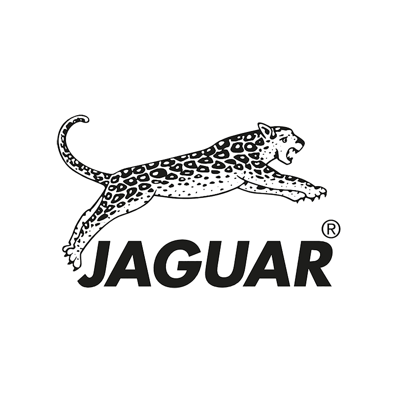 Jaguar Logo